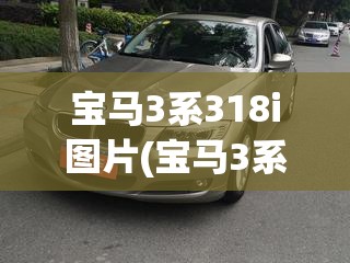 宝马3系318i图片(宝马3系318i后备箱) 宝马3系318i图片(宝马3系318i后备箱)