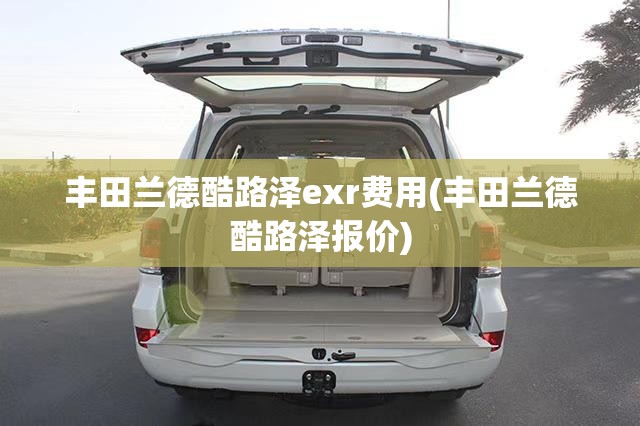丰田兰德酷路泽exr费用(丰田兰德酷路泽报价) 丰田兰德酷路泽exr费用(丰田兰德酷路泽报价)