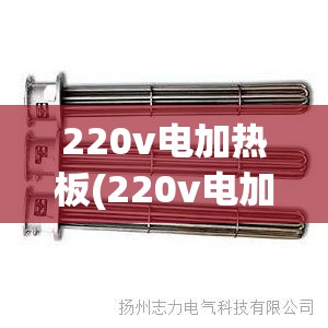 220v电加热板(220v电加热板功率多大)