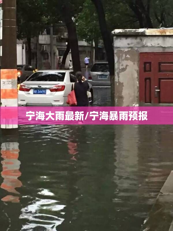 宁海大雨最新/宁海暴雨预报