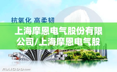 上海摩恩电气股份有限公司/上海摩恩电气股份有限公司属于什么企业 上海摩恩电气股份有限公司/上海摩恩电气股份有限公司属于什么企业