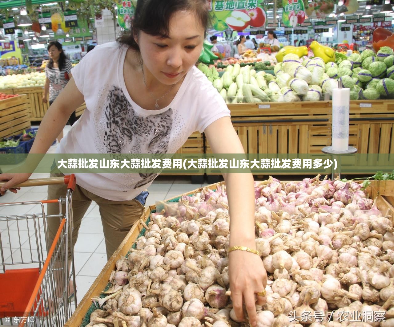 大蒜批发山东大蒜批发费用(大蒜批发山东大蒜批发费用多少)