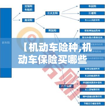 【机动车险种,机动车保险买哪些险种就好了】