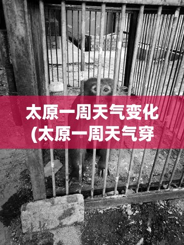 太原一周天气变化(太原一周天气穿衣建议)