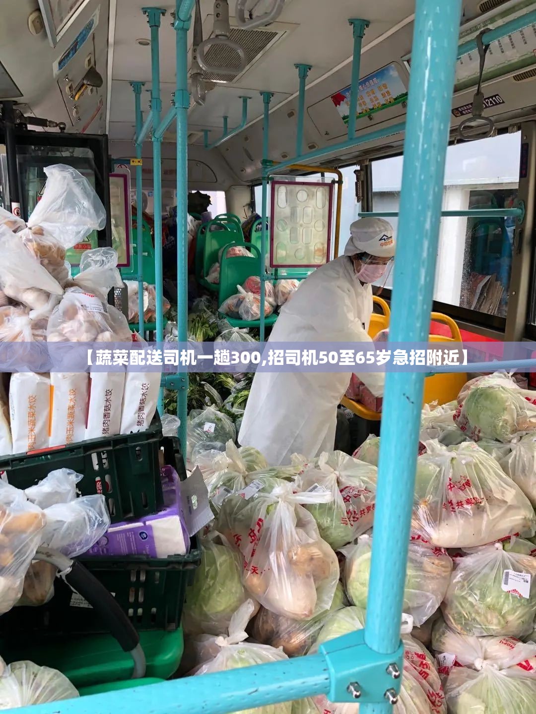 【蔬菜配送司机一趟300,招司机50至65岁急招附近】