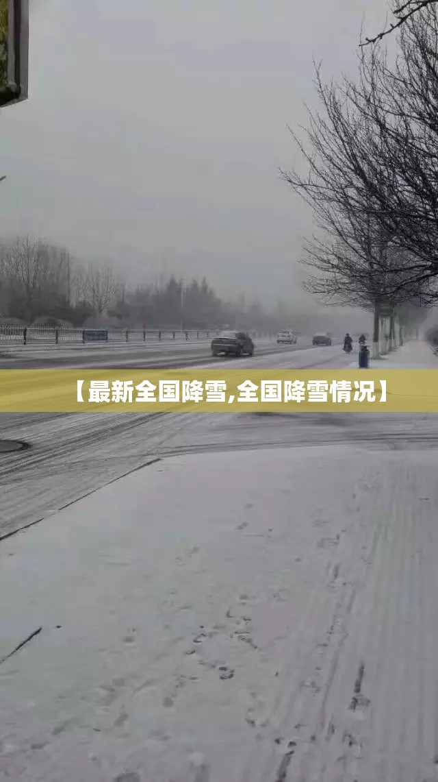 【最新全国降雪,全国降雪情况】