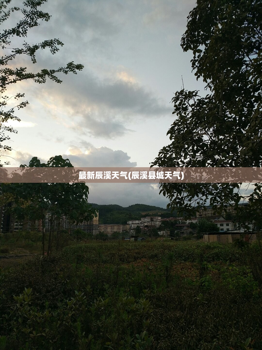 最新辰溪天气(辰溪县城天气)
