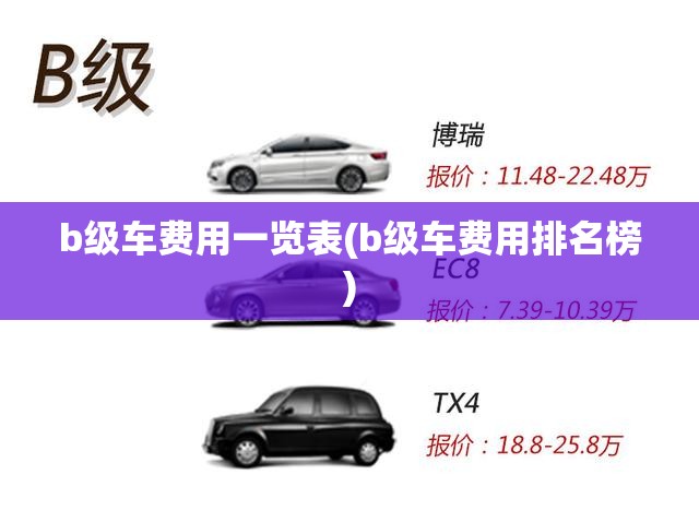 b级车费用一览表(b级车费用排名榜)