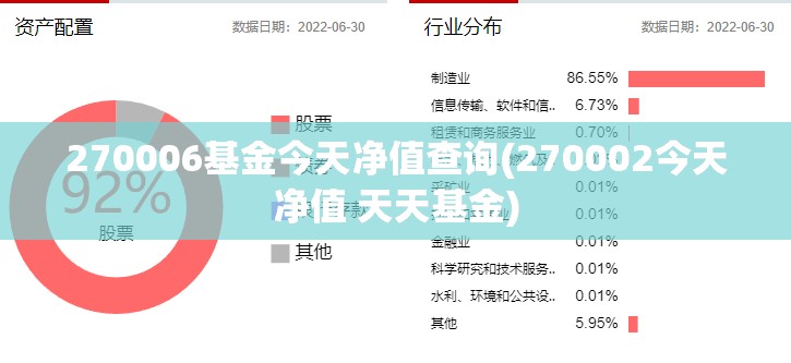 270006基金今天净值查询(270002今天净值 天天基金)