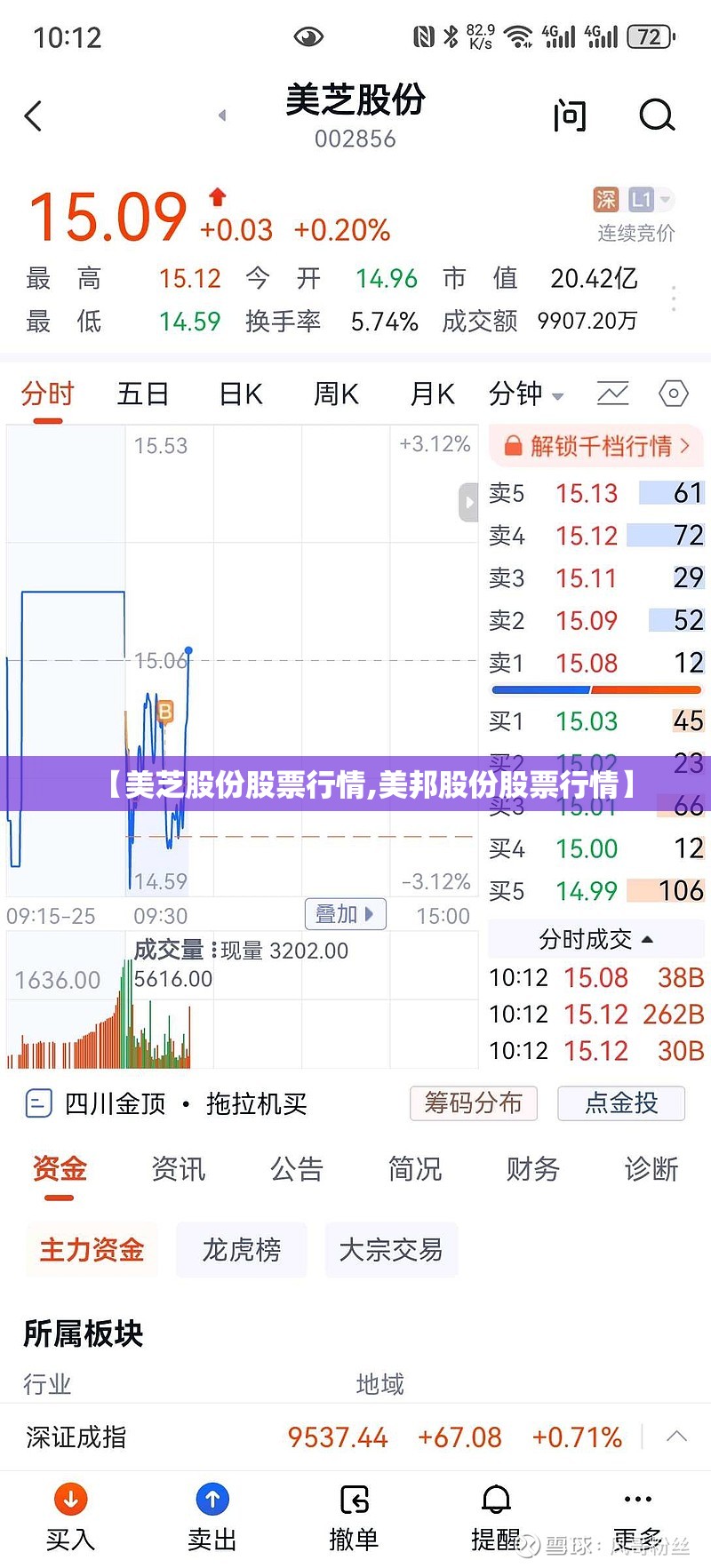 【美芝股份股票行情,美邦股份股票行情】