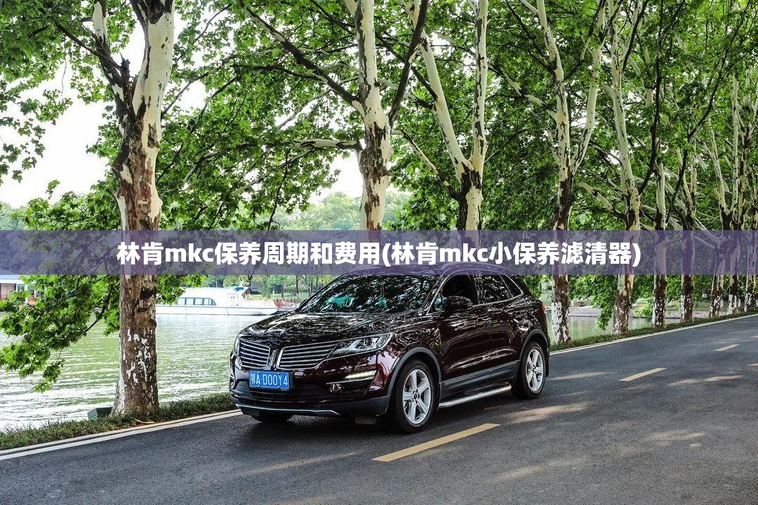 林肯mkc保养周期和费用(林肯mkc小保养滤清器)