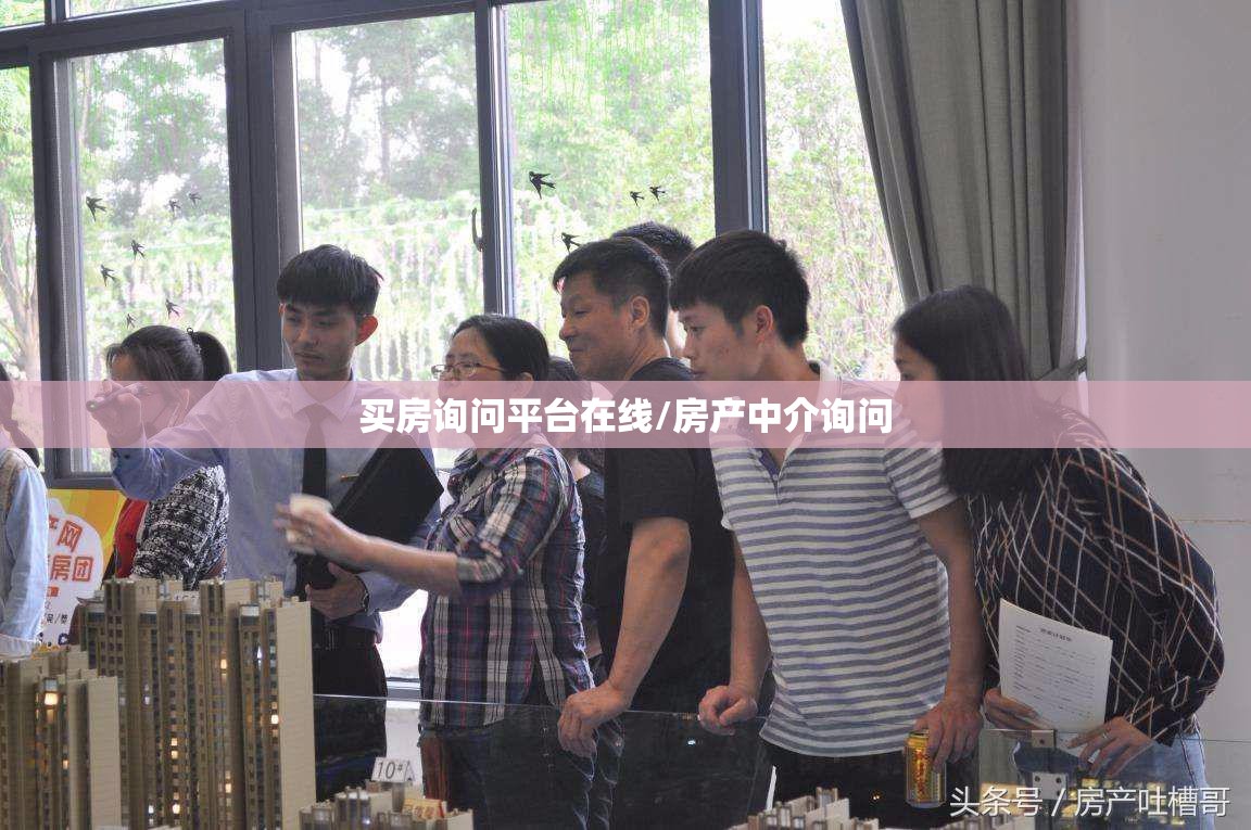 买房询问平台在线/房产中介询问