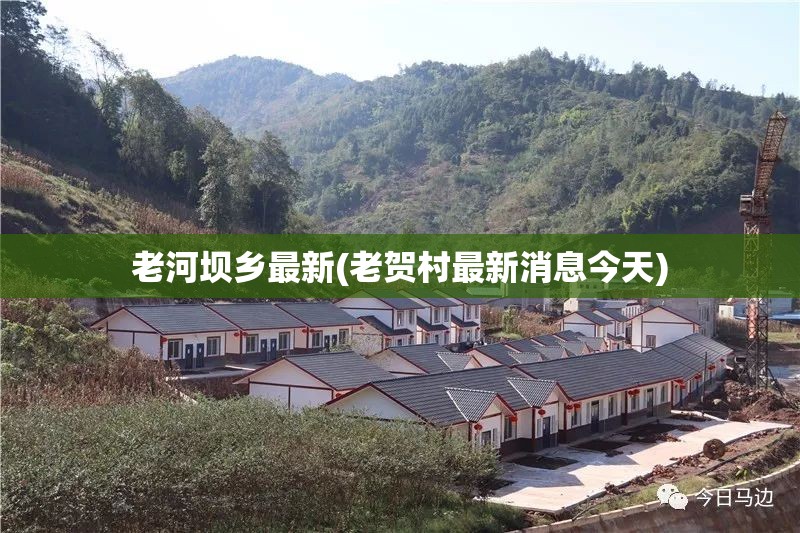老河坝乡最新(老贺村最新消息今天) 老河坝乡最新(老贺村最新消息今天)