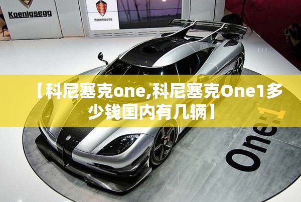【科尼塞克one,科尼塞克One1多少钱国内有几辆】