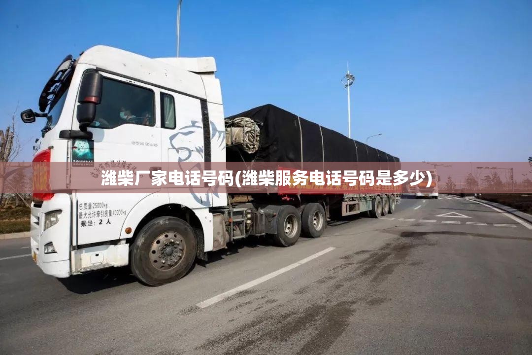 潍柴厂家电话号码(潍柴服务电话号码是多少)