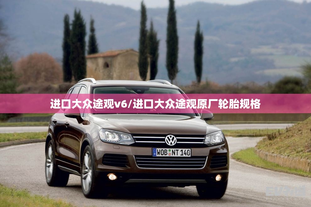 进口大众途观v6/进口大众途观原厂轮胎规格