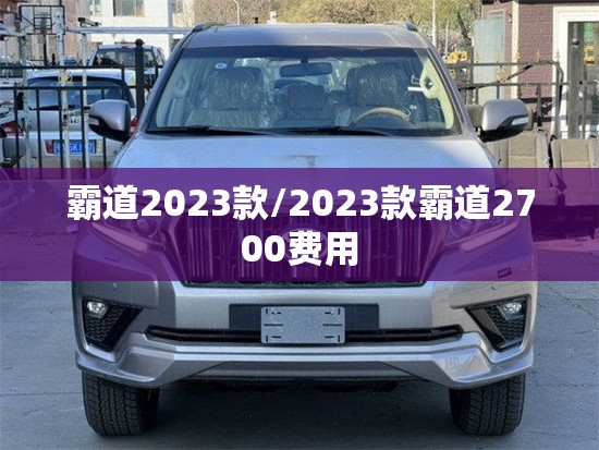 霸道2023款/2023款霸道2700费用