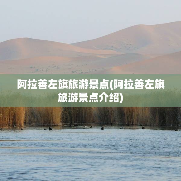 阿拉善左旗旅游景点(阿拉善左旗旅游景点介绍)