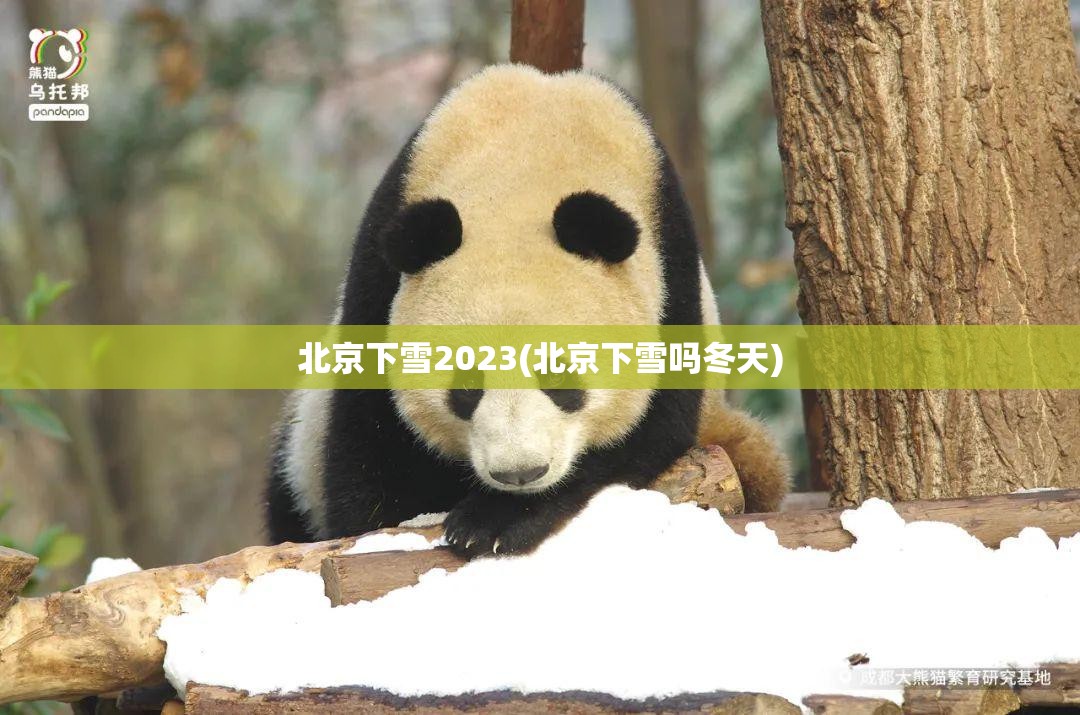 北京下雪2023(北京下雪吗冬天)