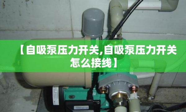 【自吸泵压力开关,自吸泵压力开关怎么接线】