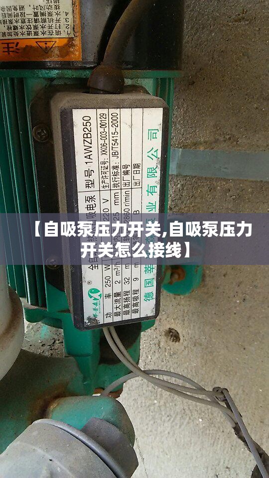 【自吸泵压力开关,自吸泵压力开关怎么接线】