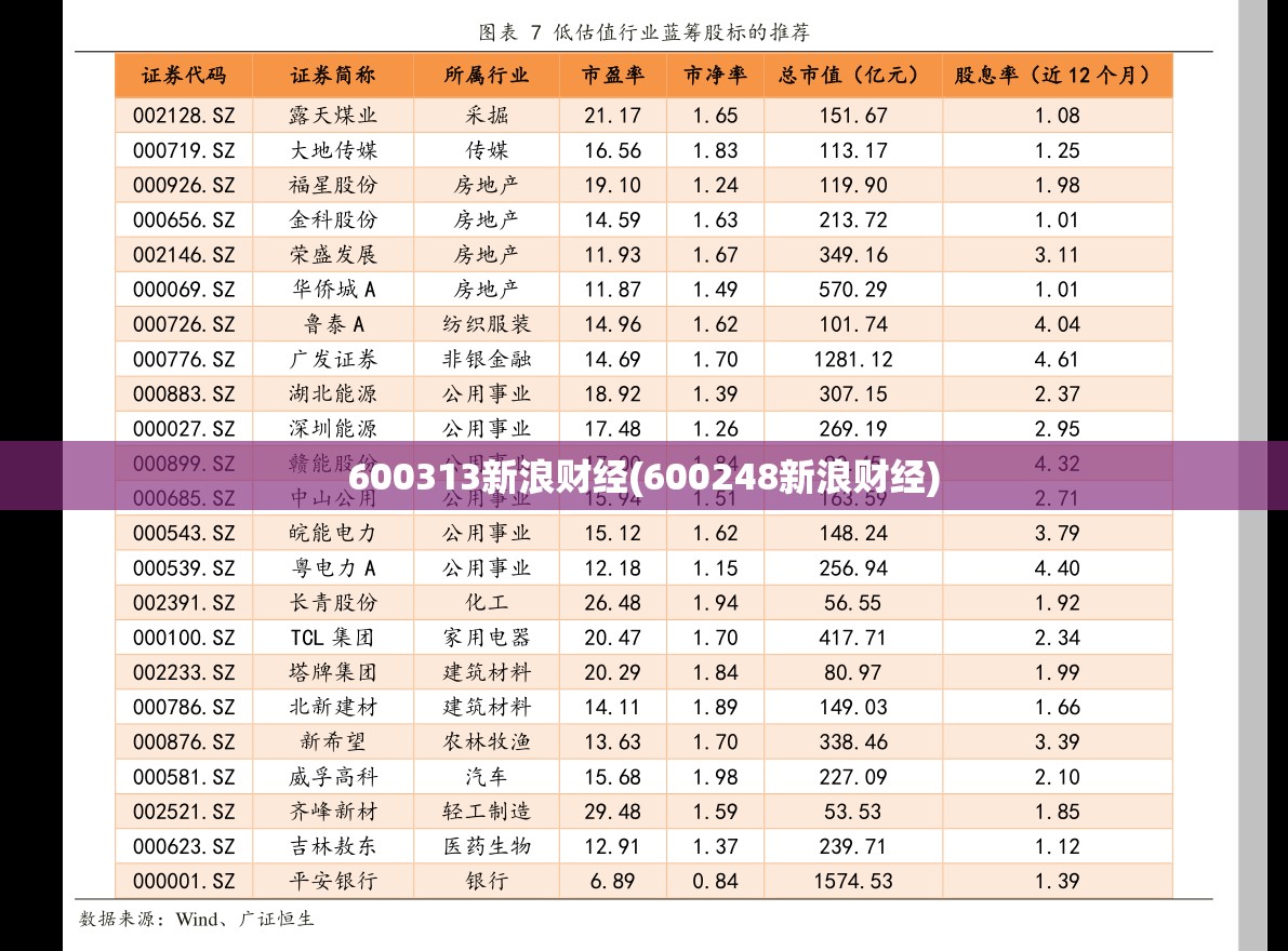 600313新浪财经(600248新浪财经)