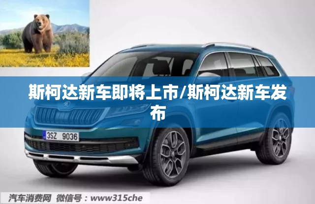 斯柯达新车即将上市/斯柯达新车发布