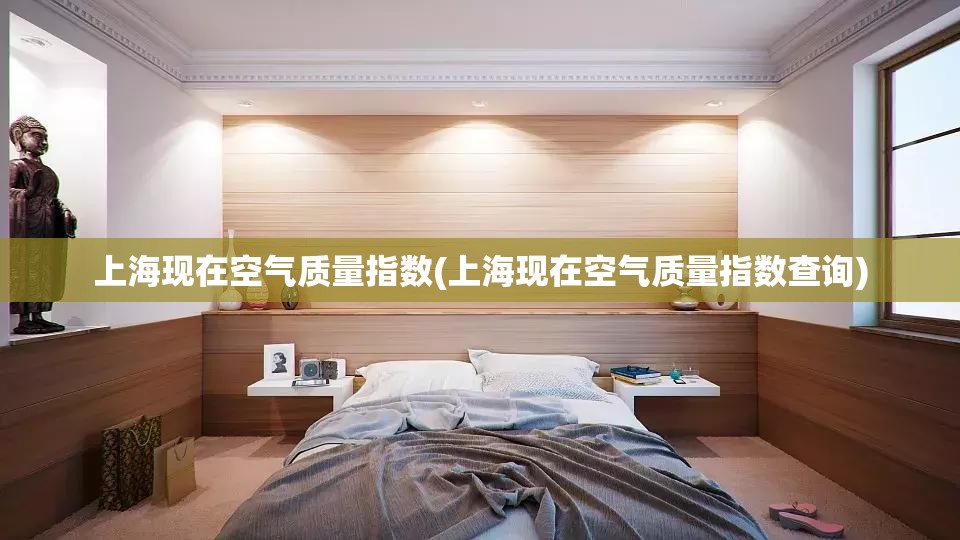 上海现在空气质量指数(上海现在空气质量指数查询) 上海现在空气质量指数(上海现在空气质量指数查询)