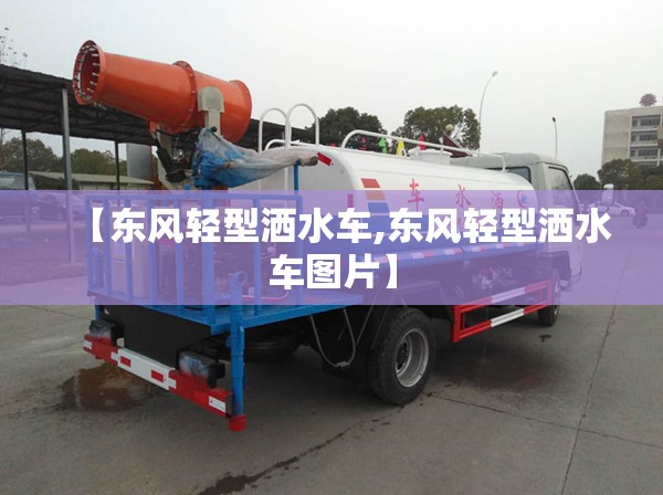 【东风轻型洒水车,东风轻型洒水车图片】
