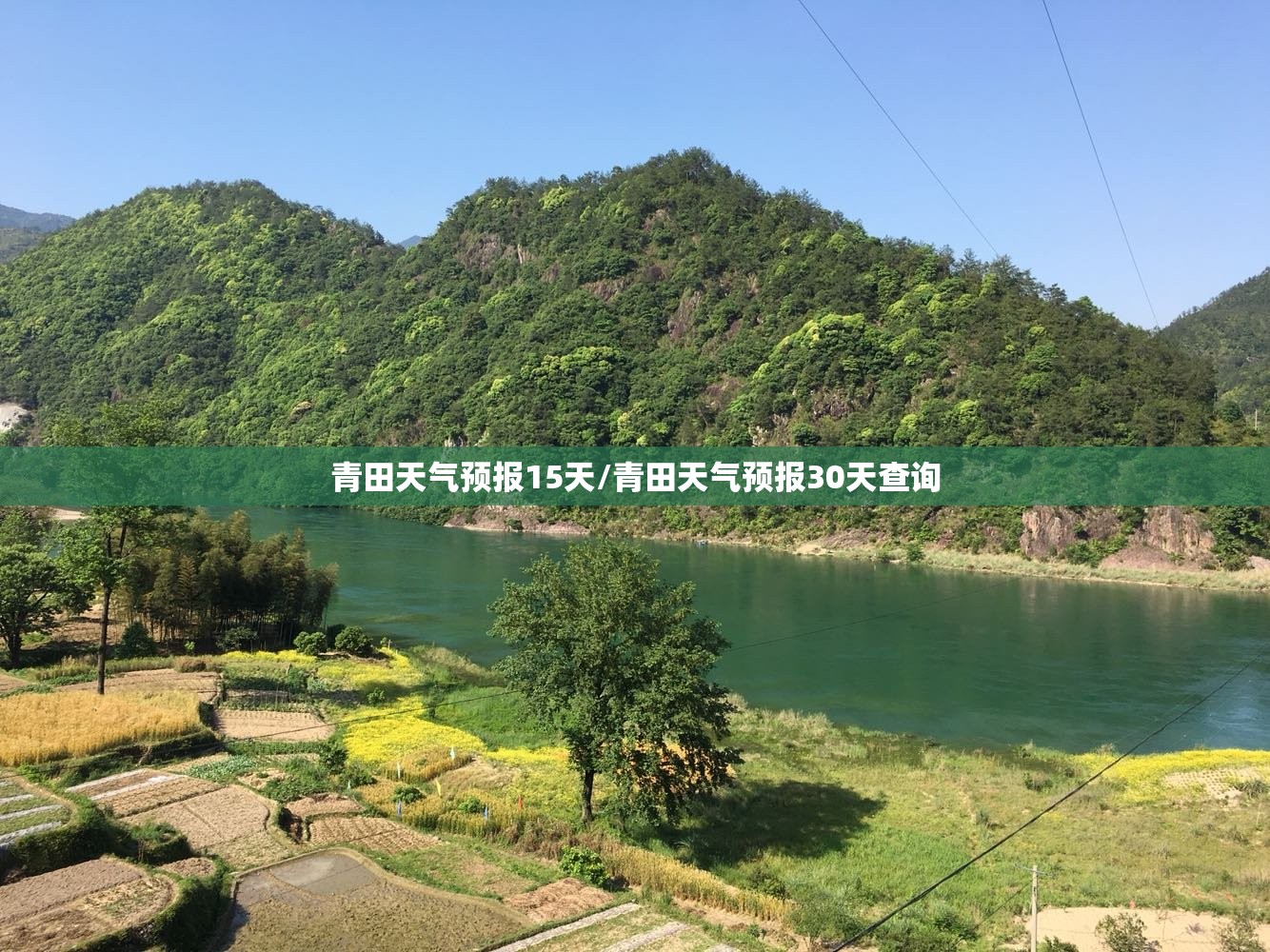 青田天气预报15天/青田天气预报30天查询 青田天气预报15天/青田天气预报30天查询
