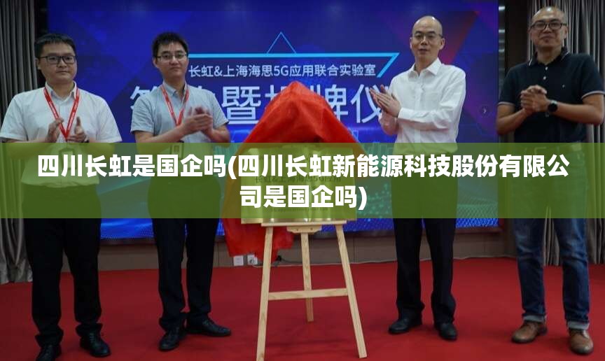 四川长虹是国企吗(四川长虹新能源科技股份有限公司是国企吗)