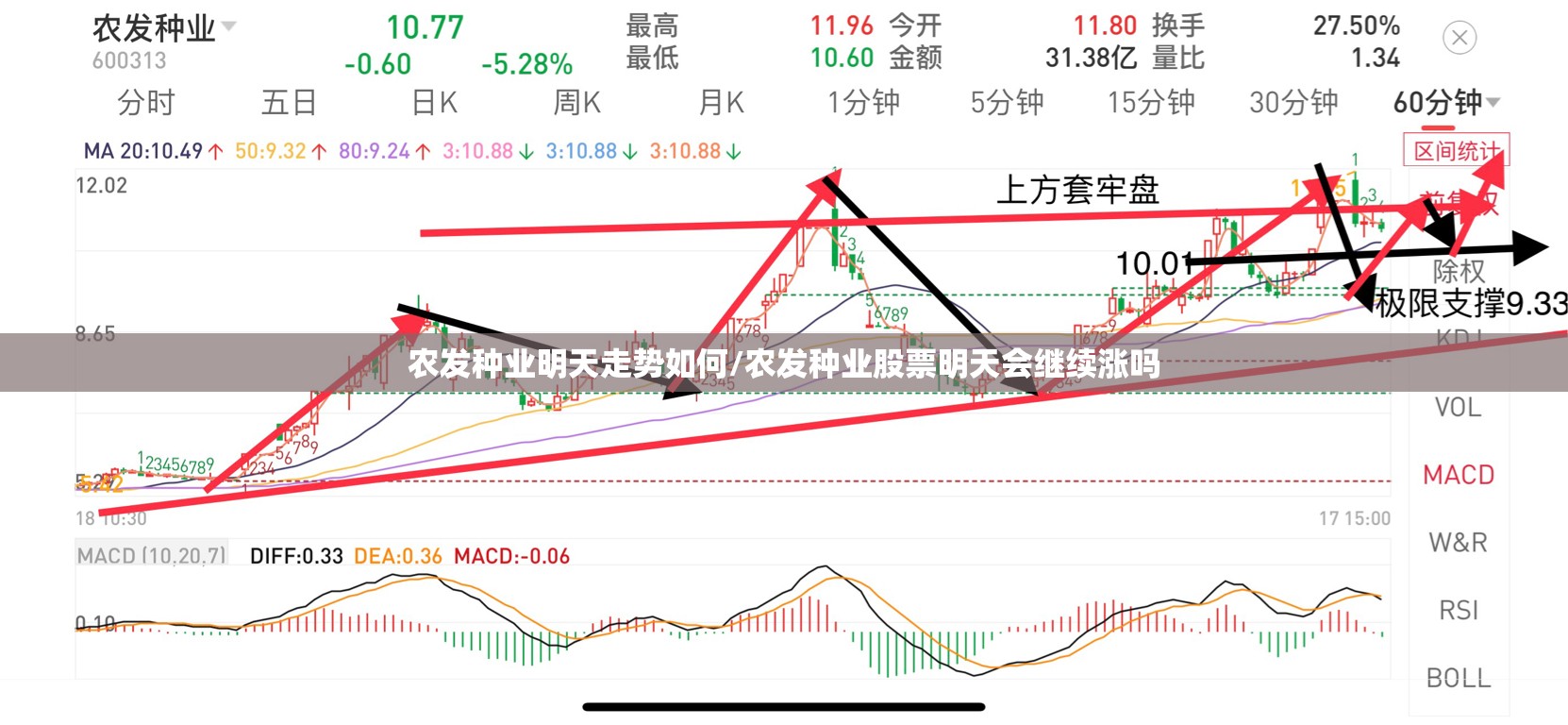农发种业明天走势如何/农发种业股票明天会继续涨吗 农发种业明天走势如何/农发种业股票明天会继续涨吗