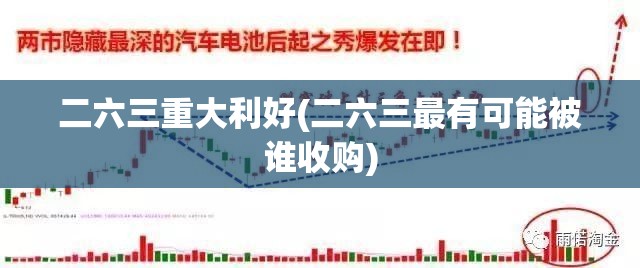 二六三重大利好(二六三最有可能被谁收购)