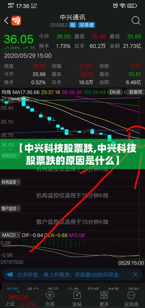 【中兴科技股票跌,中兴科技股票跌的原因是什么】
