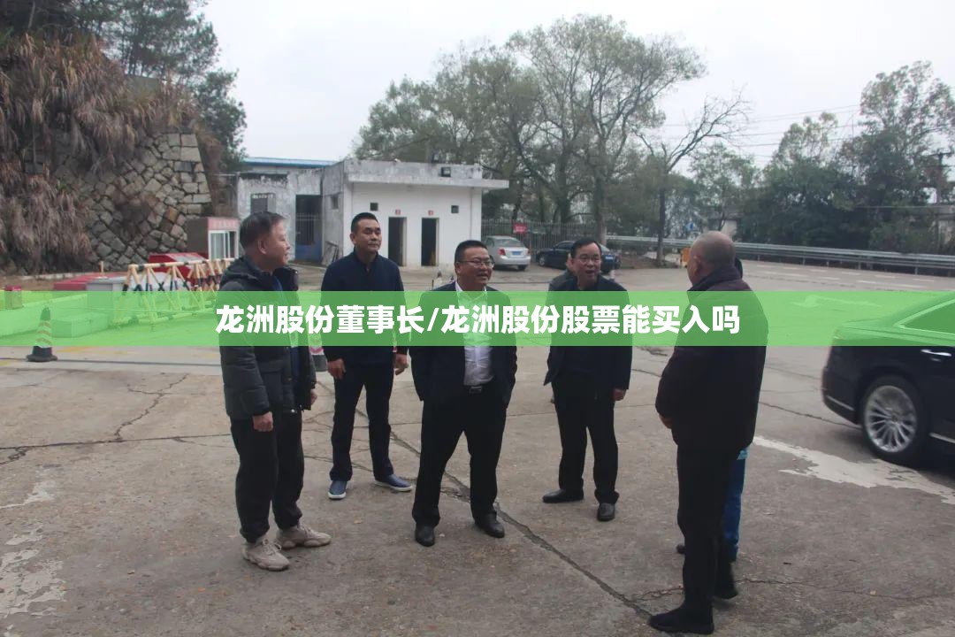 龙洲股份董事长/龙洲股份股票能买入吗 龙洲股份董事长/龙洲股份股票能买入吗