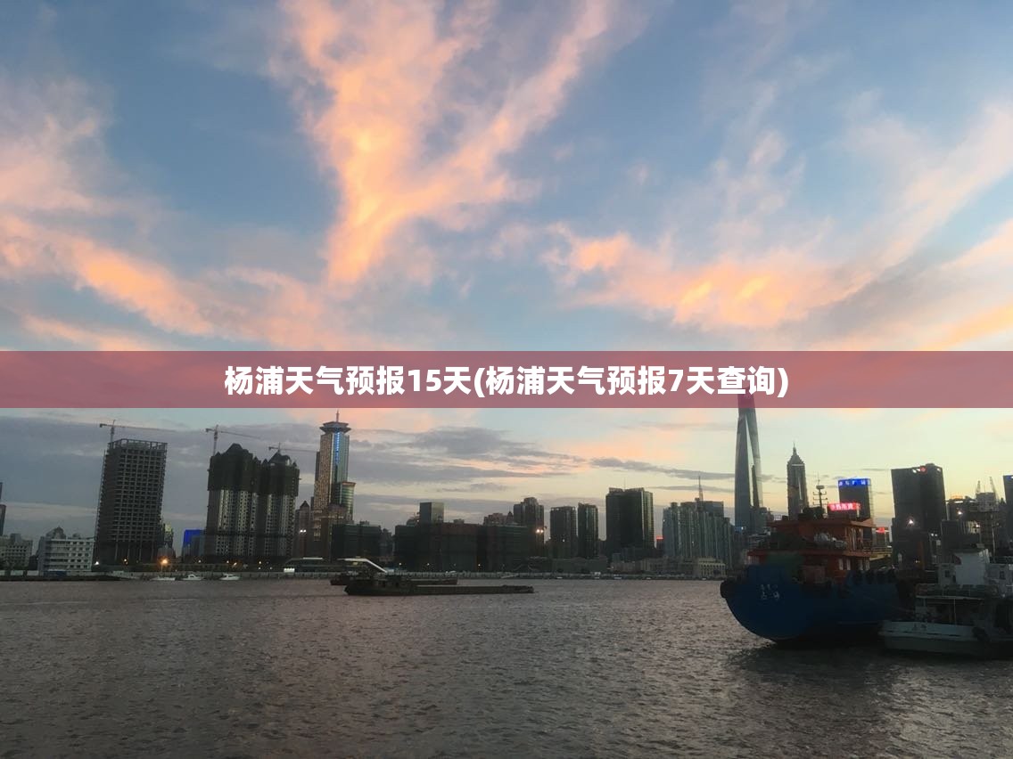杨浦天气预报15天(杨浦天气预报7天查询)