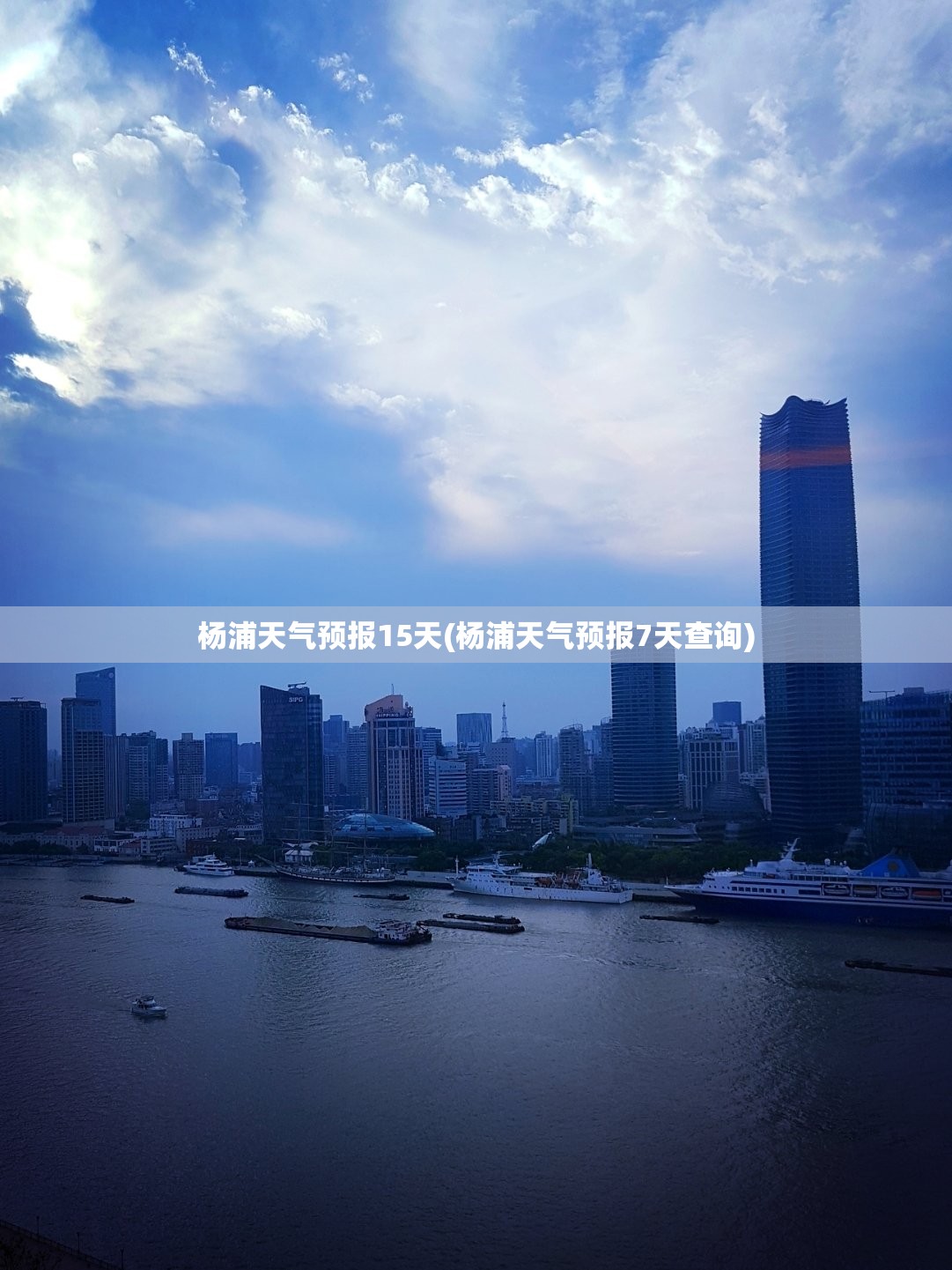 杨浦天气预报15天(杨浦天气预报7天查询)