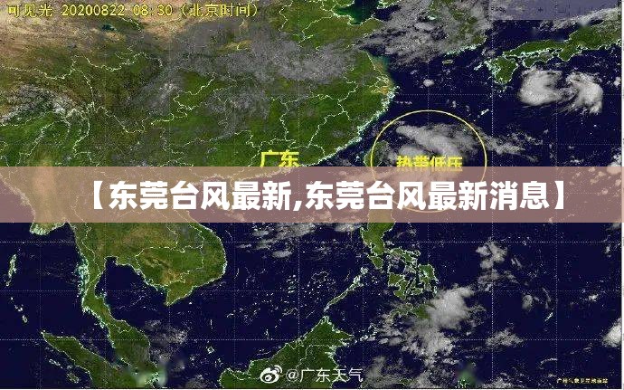 【东莞台风最新,东莞台风最新消息】 【东莞台风最新,东莞台风最新消息】