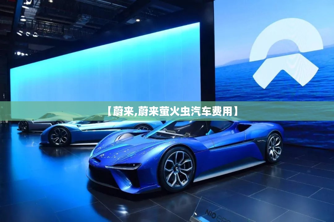 【蔚来,蔚来萤火虫汽车费用】 【蔚来,蔚来萤火虫汽车费用】