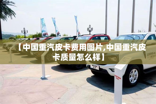 【中国重汽皮卡费用图片,中国重汽皮卡质量怎么样】 【中国重汽皮卡费用图片,中国重汽皮卡质量怎么样】