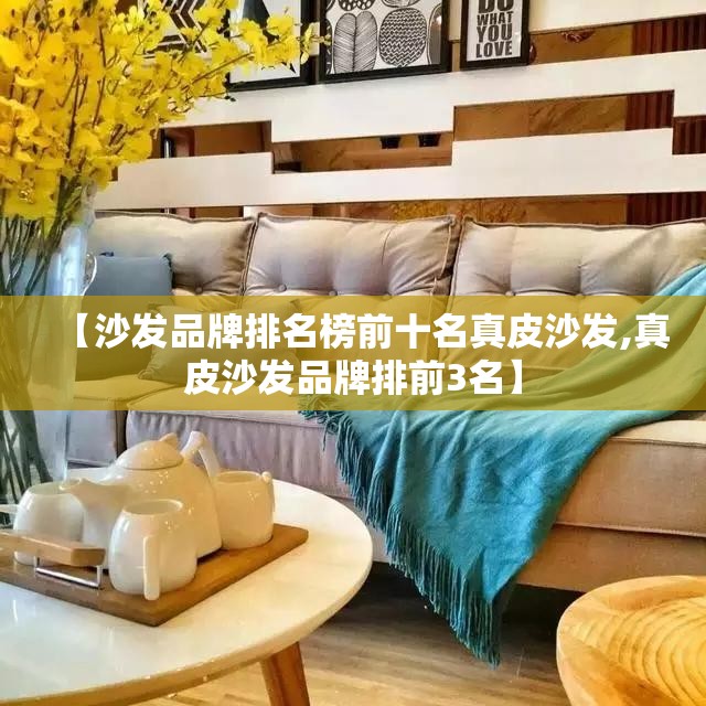【沙发品牌排名榜前十名真皮沙发,真皮沙发品牌排前3名】