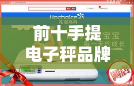 前十手提电子秤品牌排名榜/前十手提电子秤品牌对比