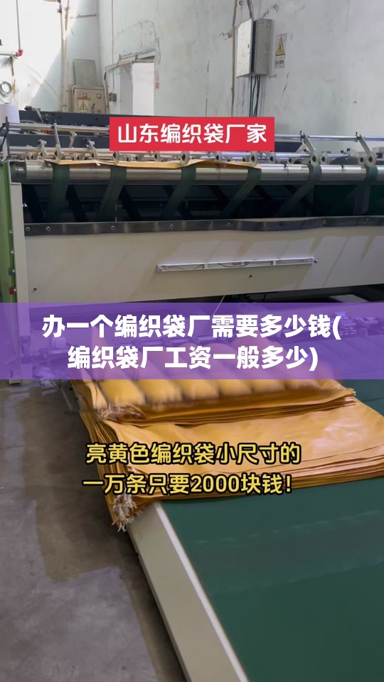 办一个编织袋厂需要多少钱(编织袋厂工资一般多少)