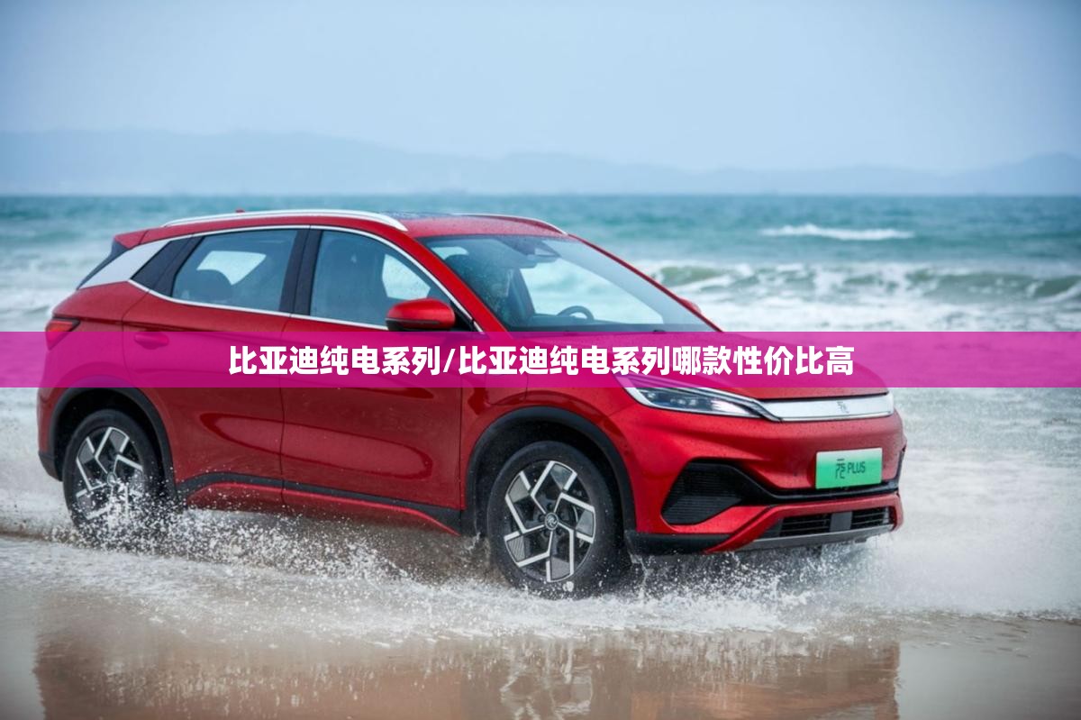 比亚迪纯电系列/比亚迪纯电系列哪款性价比高