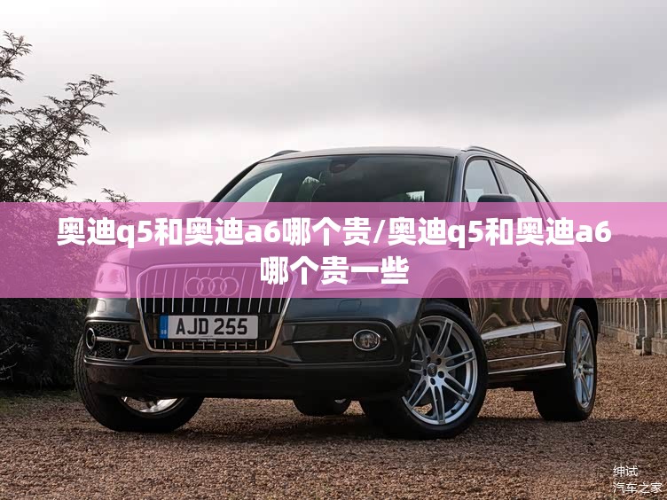 奥迪q5和奥迪a6哪个贵/奥迪q5和奥迪a6哪个贵一些 奥迪q5和奥迪a6哪个贵/奥迪q5和奥迪a6哪个贵一些