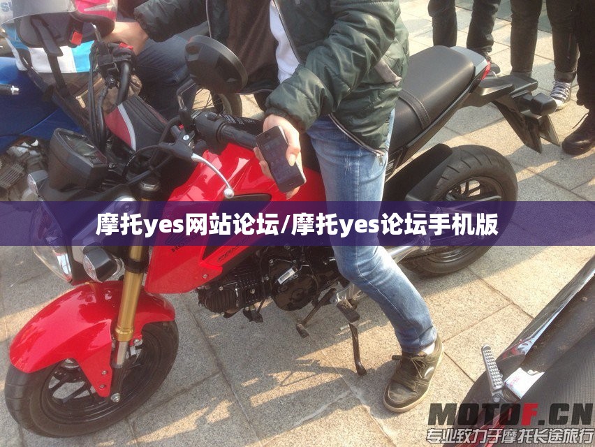 摩托yes网站论坛/摩托yes论坛手机版