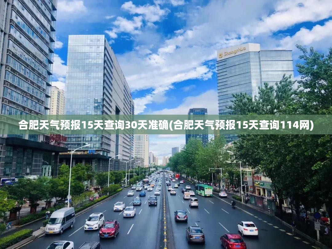 合肥天气预报15天查询30天准确(合肥天气预报15天查询114网)