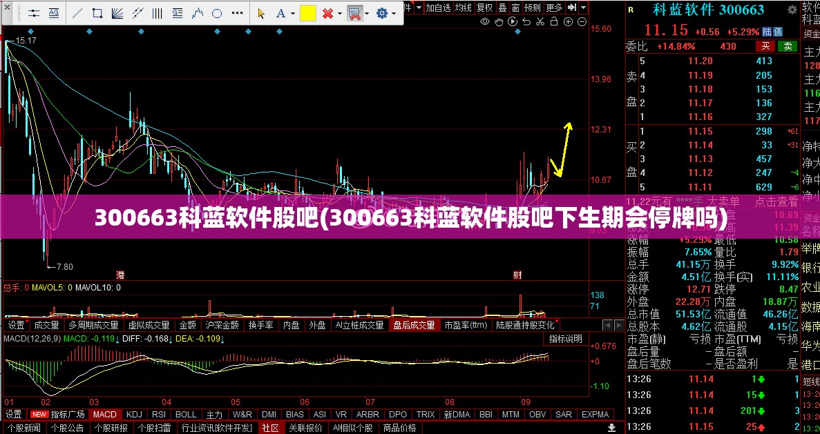 300663科蓝软件股吧(300663科蓝软件股吧下生期会停牌吗)