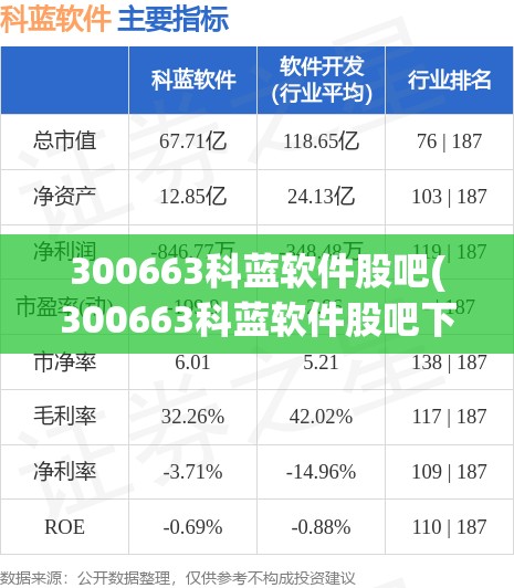 300663科蓝软件股吧(300663科蓝软件股吧下生期会停牌吗)