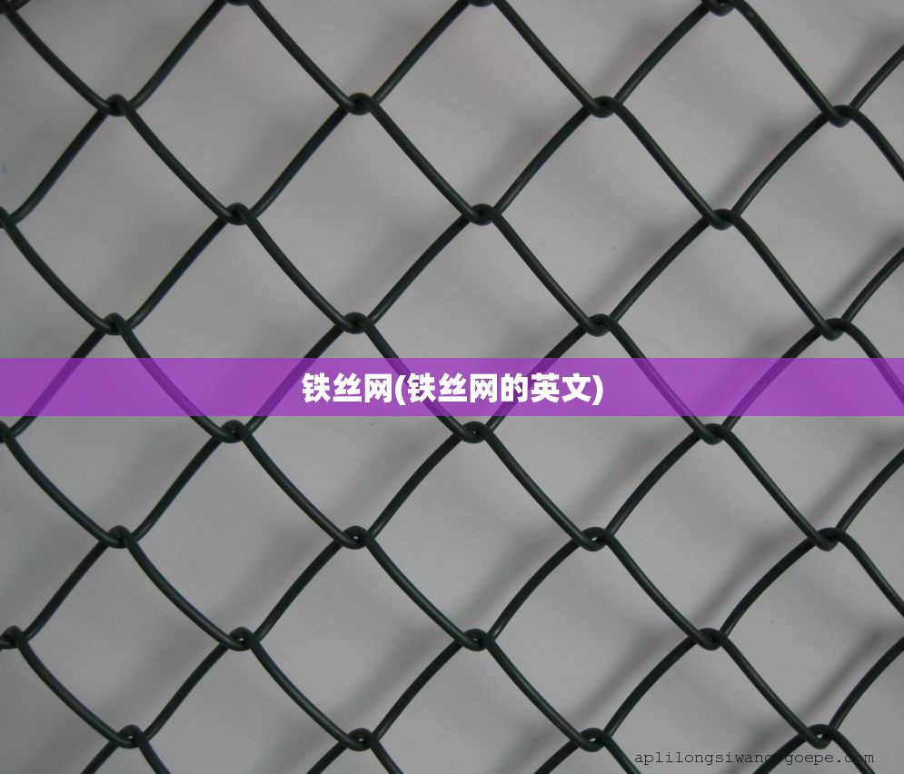 铁丝网(铁丝网的英文)